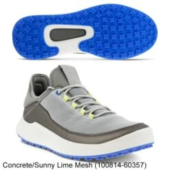 Ecco 2022 Golf Core Shoes